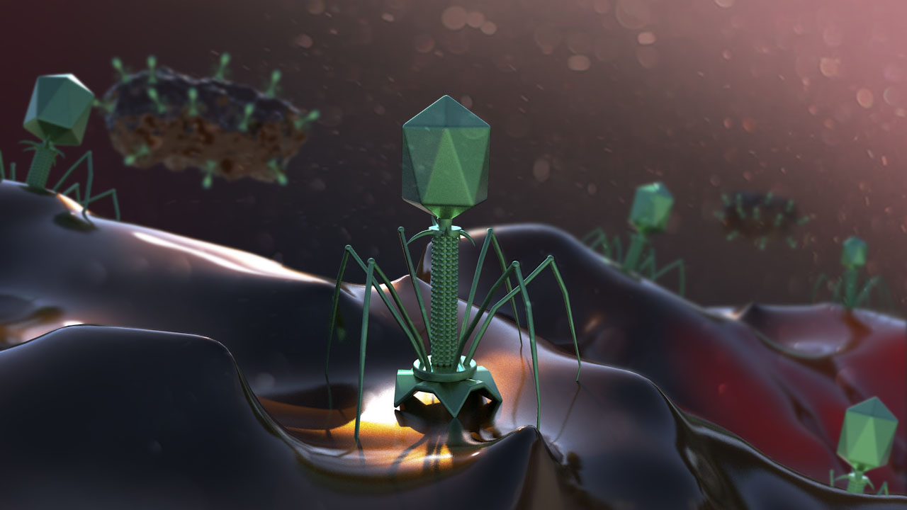 Medical, Biotech & Pharma